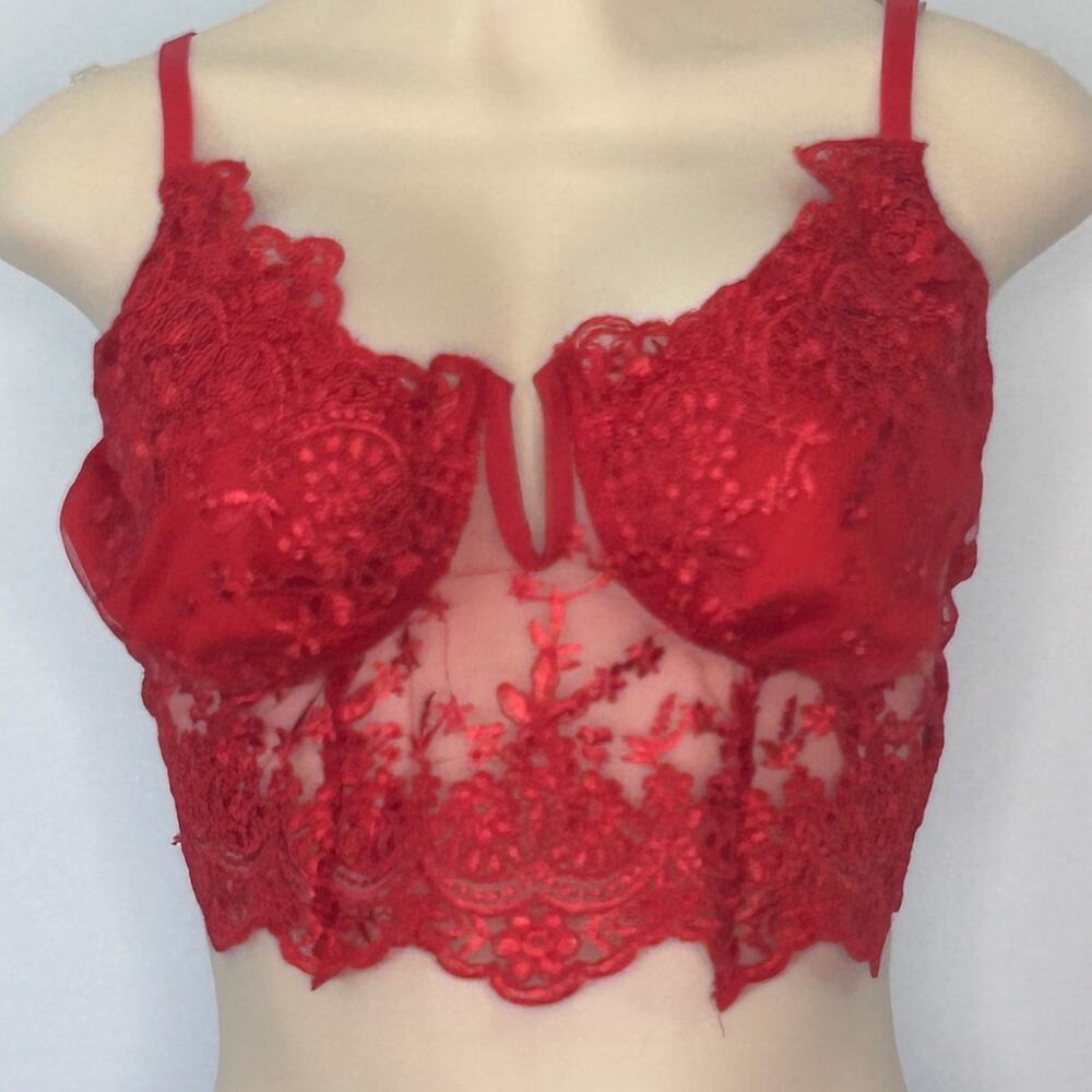 Red Lace Bustier Crop Top Sheer Embroidered Bralette Y2K Coquette 2X pinup
